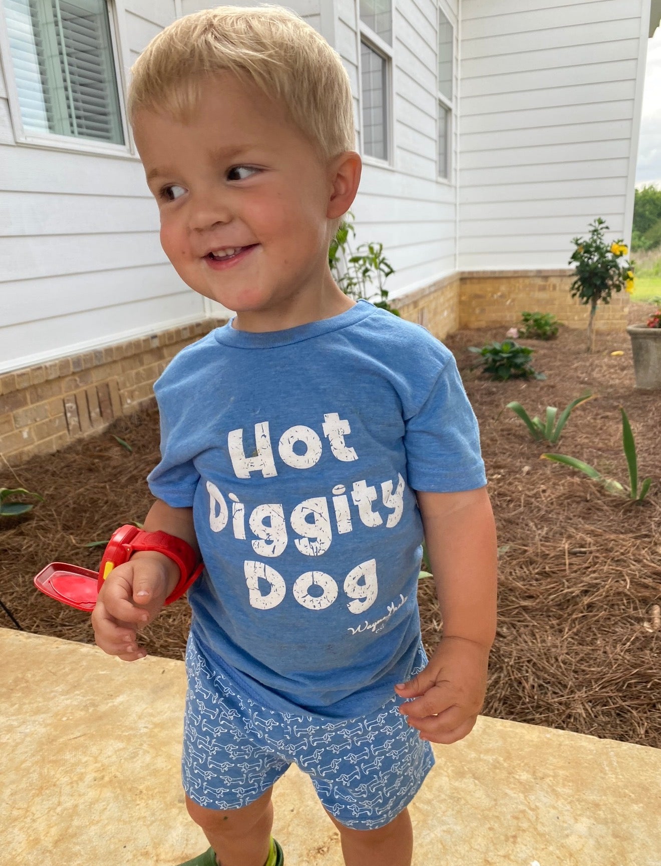Hot Diggity Dog Set