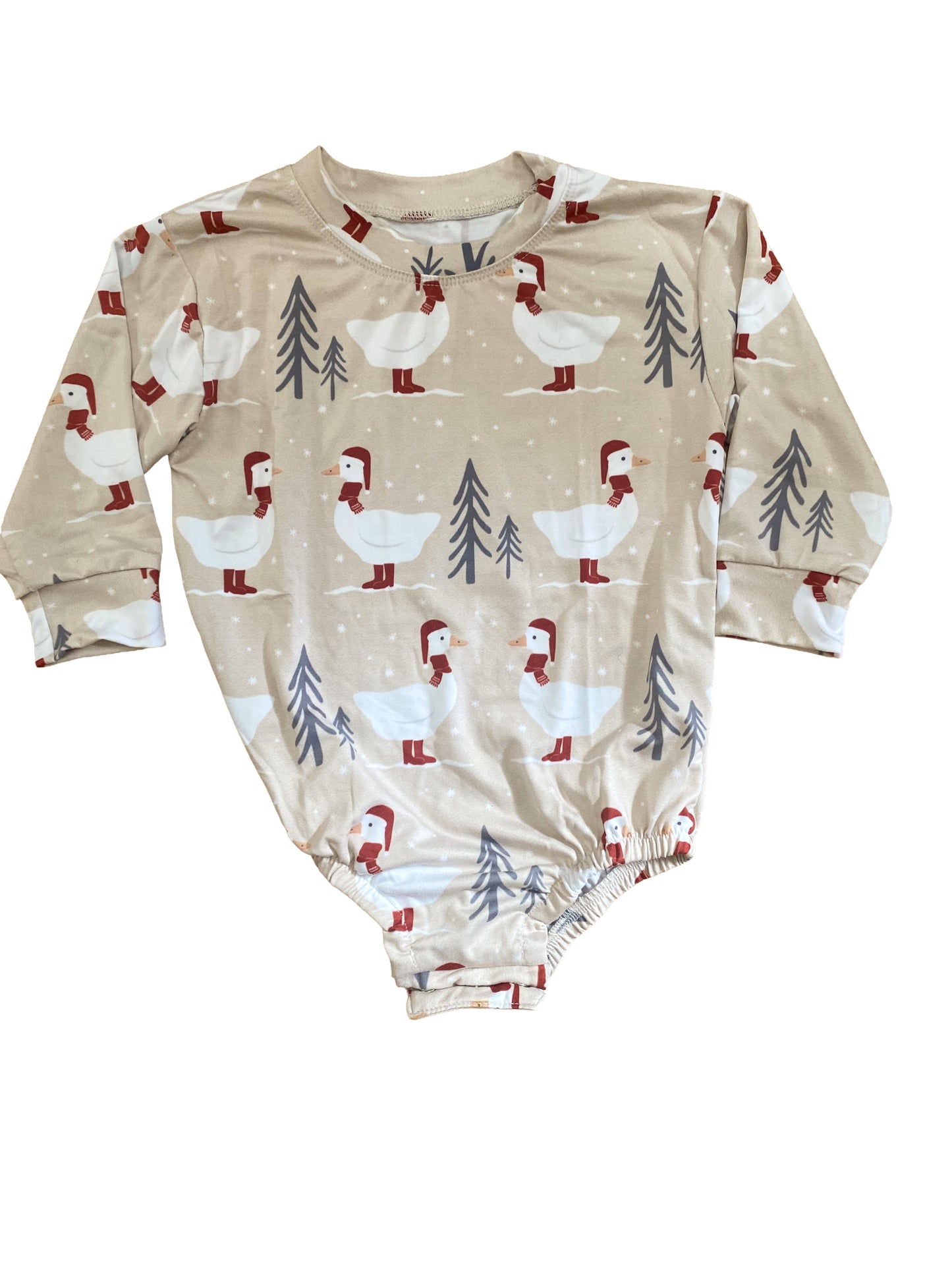 The Winter Goose Bubble