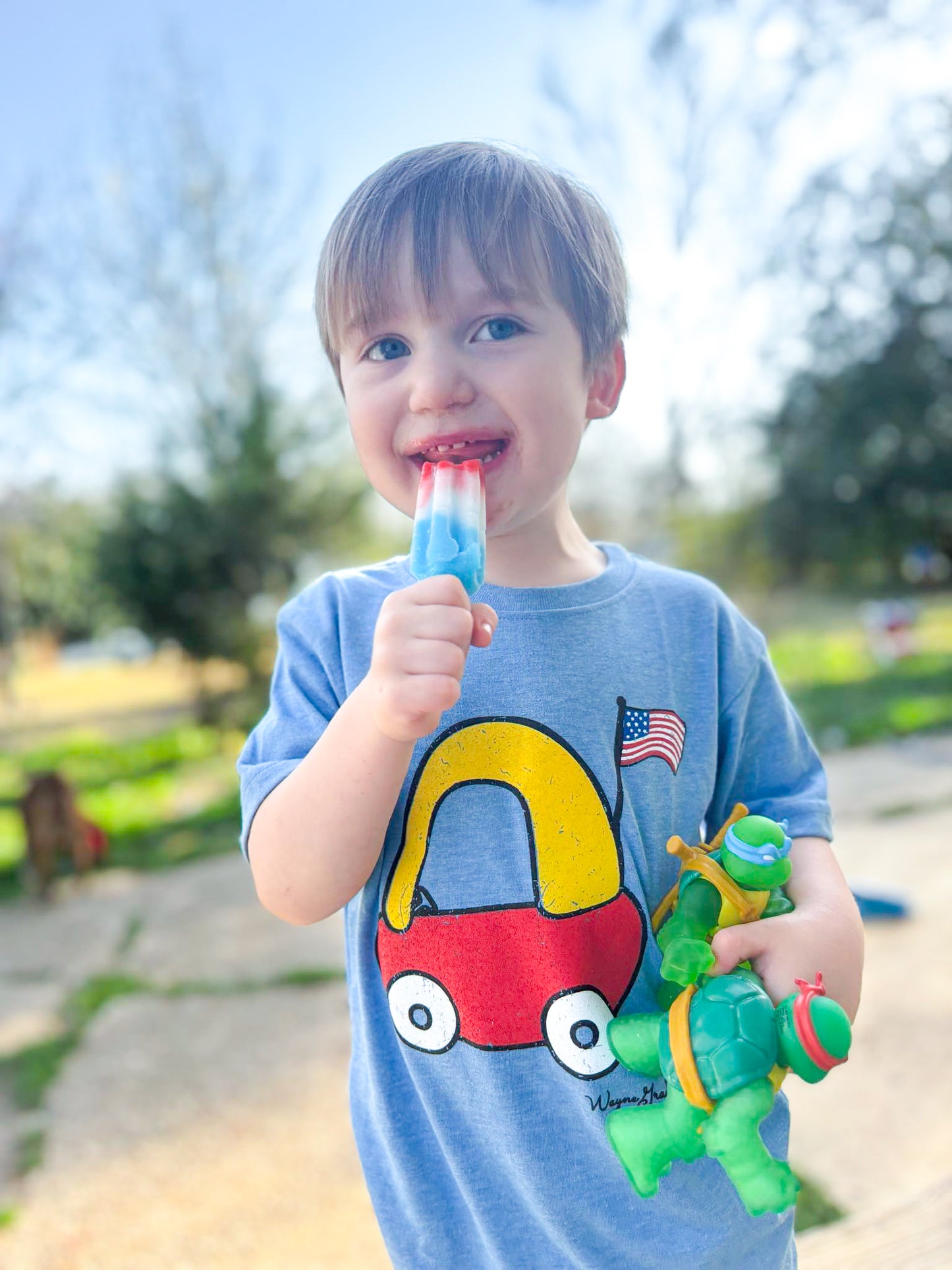 WayneGrady Patriotic Cozy Coupe