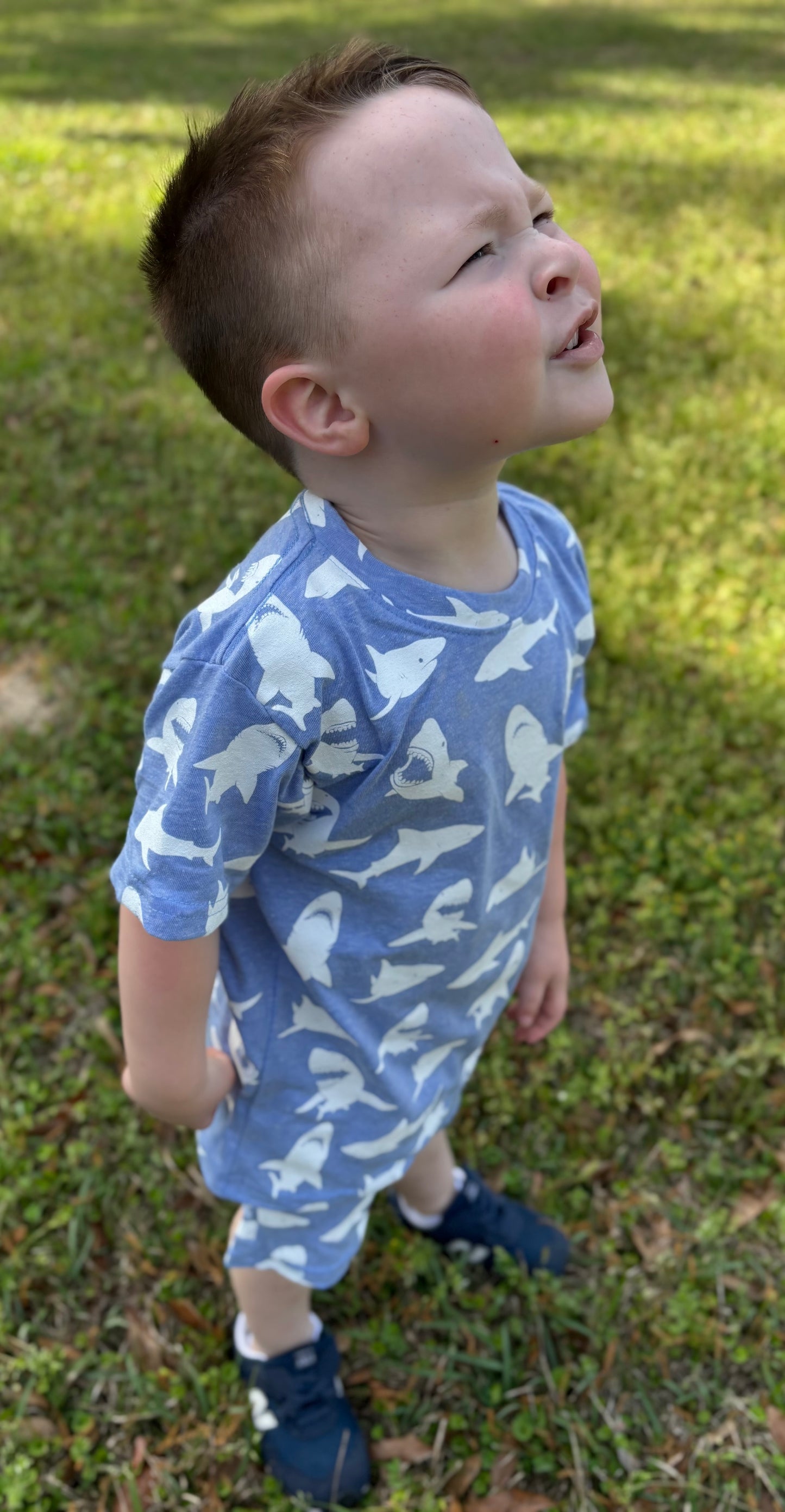 WayneGrady Shark Short Set